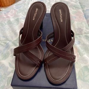 Ann Taylor shoes
